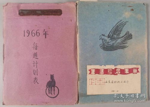 香港最准的特马网站资料|最佳精选解释落实_安卓版.6.968