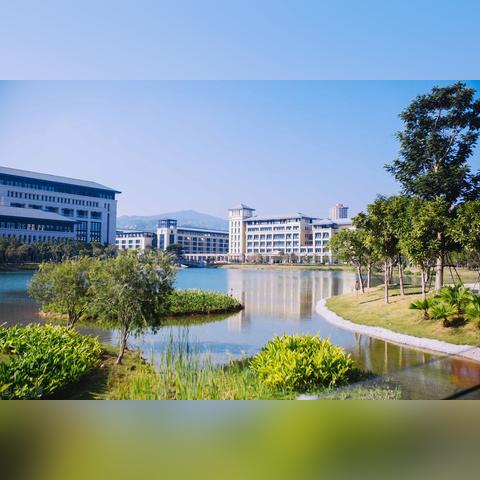 四不像玄机解特图2024年第331期|深入理解各种问题的解决方案_网红版IOS.6.639