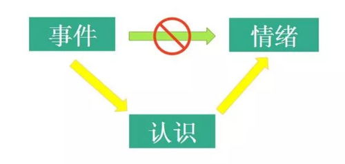 25049.0cm新奥彩|经典解释落实_R.8.376
