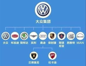 新澳门大众网官网今晚开奖结果|城市探秘发现隐秘美景_汇总版.8.592