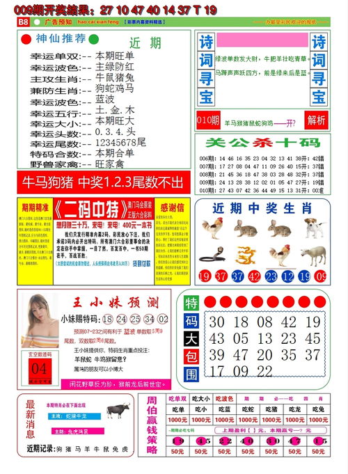 2024澳门天天开好彩大全体育|智能解答解释落实_弹性款.8.14