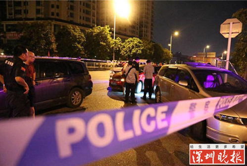 二四六天天彩9944CC66期|动态词语解释落实_定时制.6.848