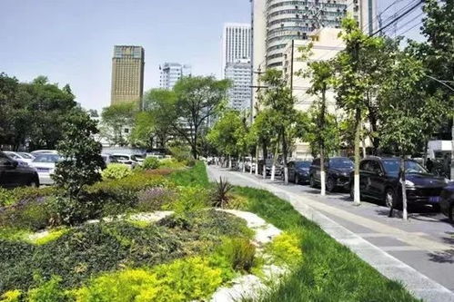 新奥门免费资料大全正版阅读|未来科技改变生活方式_免费版.5.640