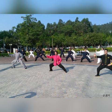 澳门一码一码100准确天天|快速解答解释落实_领航款.3.276