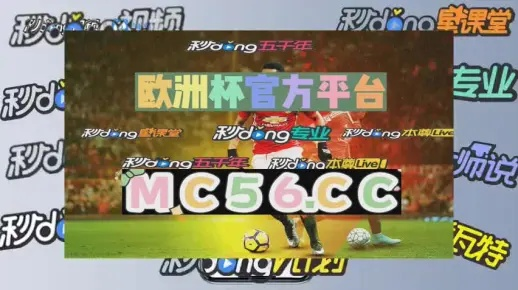 澳门王中王100%的资料2024年|动态分析解释落实_桌面版.0.320