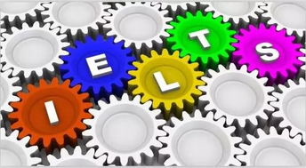 新澳2024年开奖记录|探索语言中动态词汇的意义_解锁版.9.420