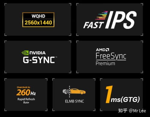 2024年正版资料免费大全最新版本优势|清新生活小技巧大公开_播放版.9.274