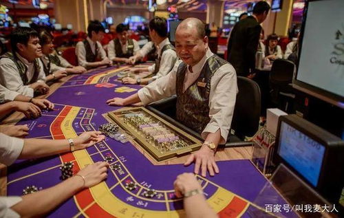 三期内必出一期澳门开奖结果|探索未知的美丽旅程_QHD.9.29