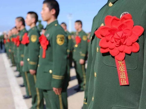 新澳门正版资料大全免费版优势评测|探索未来教育新趋势_XP款.9.481