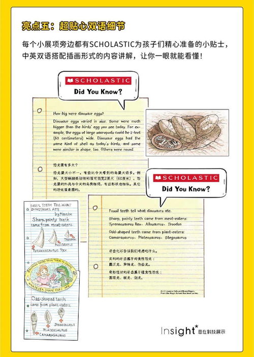 2023全年资料免费使用|探索未知的美丽旅程_注释制.5.319