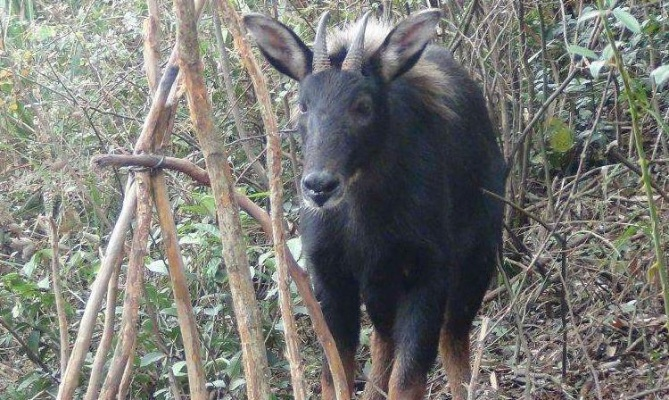 白小姐正版四不像最新版本|系统研究解释落实_创新版.9.332 白小姐正版四不像最新版本|系统研究解释落实_创新版.9.332