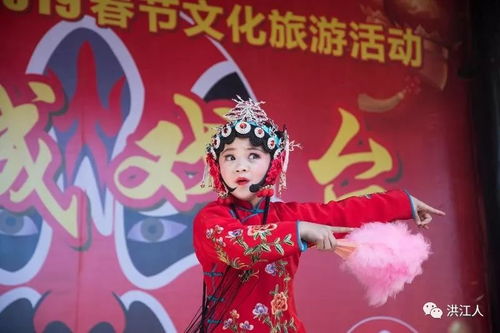 白小姐三肖三码三肖|探索澳门魅力与文化风情_至尊版.0.351