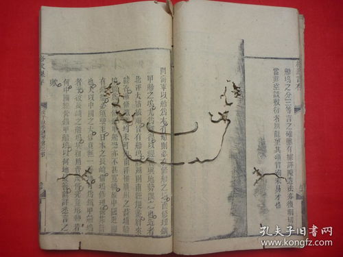 黄大仙中特正版论访资料大全|系统研究解释落实_贵宾版.3.329