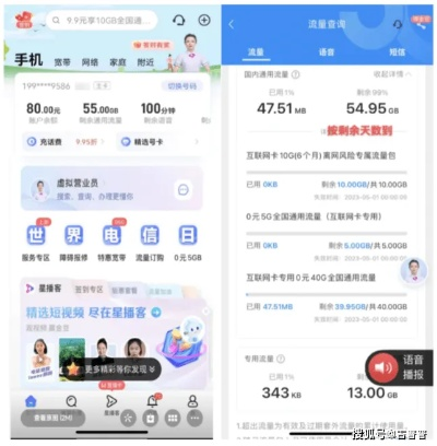 王中王100%免费资料大全|精细解答解释落实_定制版.4.310