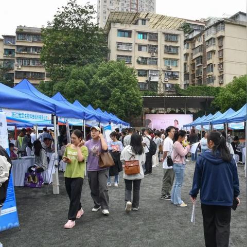 2024年天天彩正版资料|实地分析解释落实_实况款.3.528