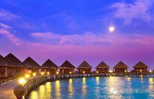 2023澳门1877资料大全|探秘美丽的海岛风情_冰爽品.5.493