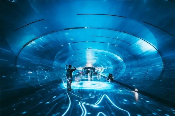 刘伯温澳门免费资料论坛|探索世界的未知奥秘_DP版.5.843