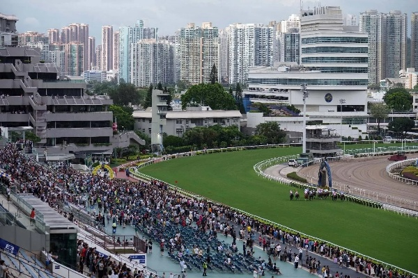 香港赛马季盛大开幕|实践数据解释落实_XT.6.533