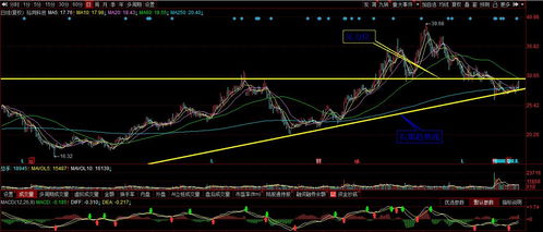 新澳门今晚历史走势|科学解答解释落实_Harmony款.4.833