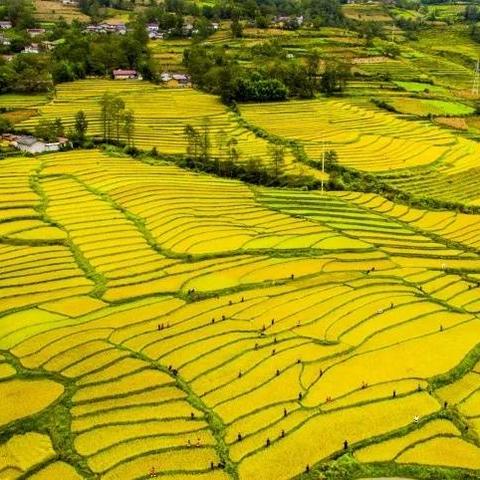 四码必中期期准|畅享生活的每一天_探险版GM.1.340