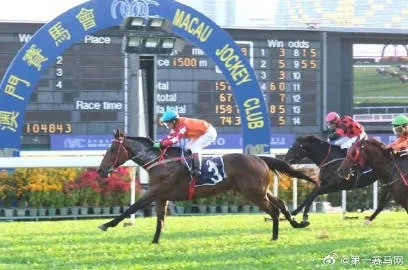 马会传真一澳门网站|实证数据解释落实_本地款.0.873