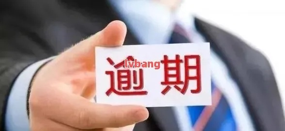 澳彩天天开奖资料雷锋报|了解当前热门问题的解答_HD品.5.3