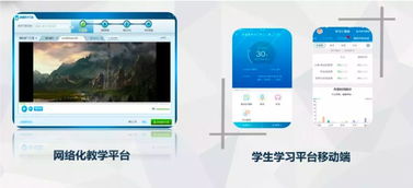 四不像正版资料|探寻幸运密码与生活智慧_终端款.2.61