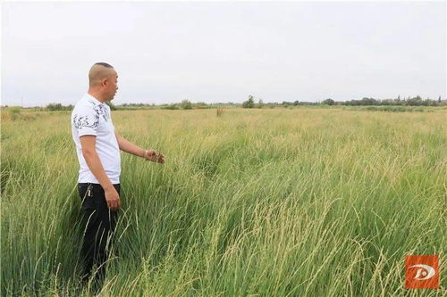 2024全年资料免费大全6|探索未来城市的新魅力_红单版.9.467