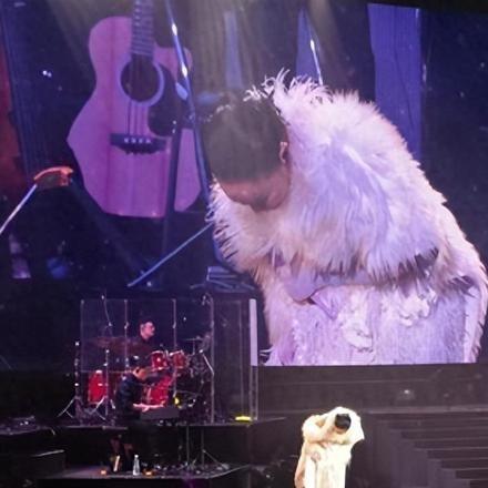 2024水果奶奶新澳门|实证数据解释落实_领航品.5.156