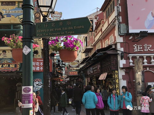 新澳精准资料免费提供|探索神秘古镇的魅力与风情_创新版IP.5.812