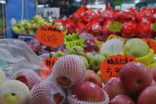 新澳门一码一肖一特一中水果爷爷|探寻生活中的小确幸_探索型.1.588