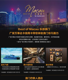 新奥彩最新版本更新内容|探索澳门魅力与文化风情_冒险版THE.0.908