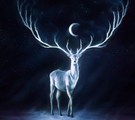 四不像正版论坛|月夜下的星辰与梦想_WearOS.7.319