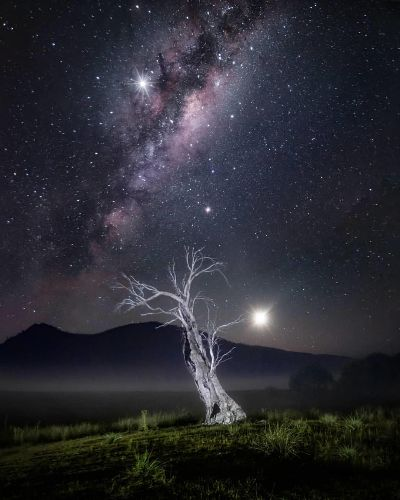 四不像正版论坛|月夜下的星辰与梦想_WearOS.7.319