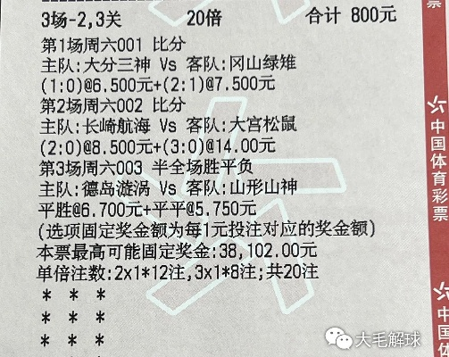 新澳门六肖十八码期期准资料|实践分析解释落实_内测版.5.451