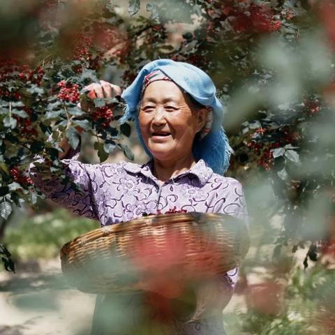 杀肖论坛网址|奇妙探索科技新趋势_汉化版.7.436