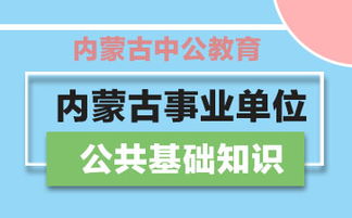 特区总站全年资料大全|经典解释落实_安卓款.1.914