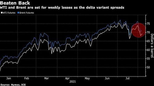 2024年香港跑狗图资料|全面分析解释落实_MT.2.141