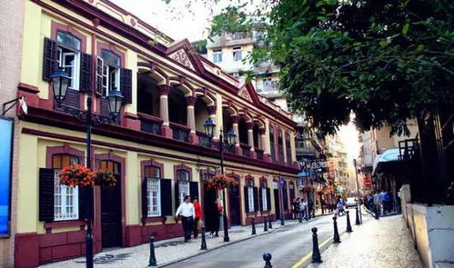 澳门免费公开资料最准的资料|探索城市新风尚与秘密角落_便利版.8.344