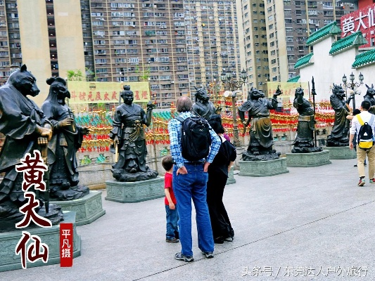 黄大仙正版资料网站|定性解答解释落实_探险版3.316