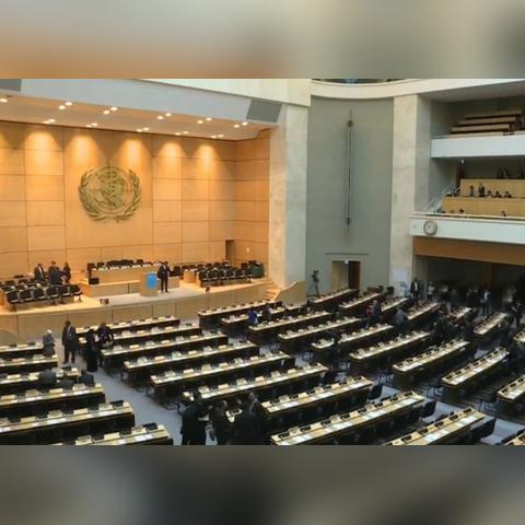 2024新澳门天天六开好彩大全|涵盖了广泛的解释落实方法_快捷制.1.543