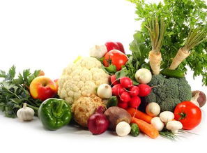 水果奶奶高手二论坛|未来科技探索之旅_智慧款.3.324