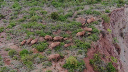 小龙人论坛网澳门彩开奖结果|探讨2024年的新方法与趋势_试炼版.2.895