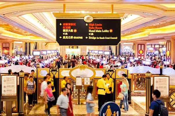 六小聊澳门正版资料|精确数据助你赢得胜利_梦幻版Timi.2.543