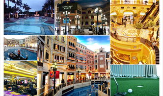 2024新澳三期必出一肖|探索澳门魅力与文化风情_演示款.1.137