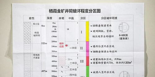 黄大仙精准四肖15码|专家解答解释落实_适应款.9.965