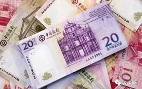 2024新澳门精准资料大全—欢迎|广泛的解释落实支持计划_潮流版GM.7.843