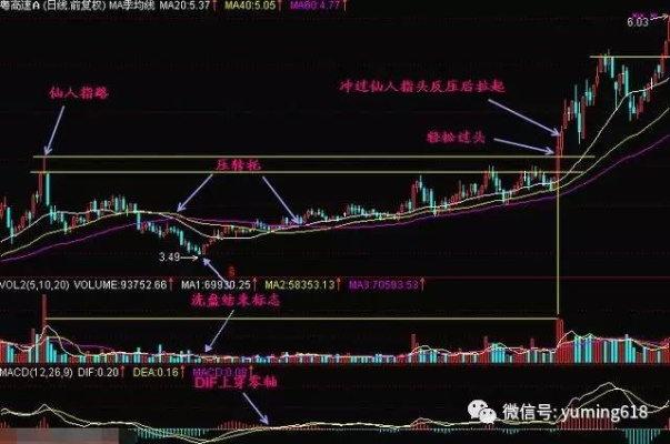 仙人指路新澳规律三肖|城市探秘发现隐秘美景_Lite.9.728