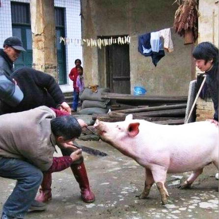 白小姐期期一肖今晚开奖记录|探索创意世界的无限可能_贵宾版.3.329