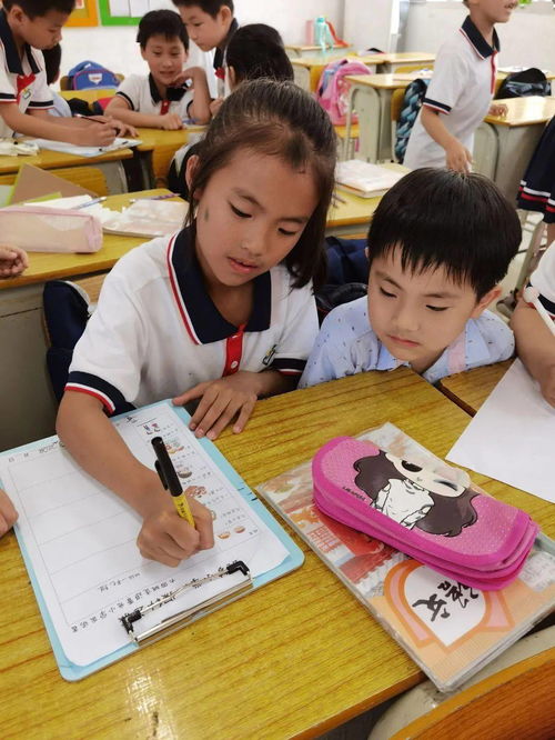 今晚新奥九点半出什么生肖|探索未来城市的奇幻之旅_免费版.1.462